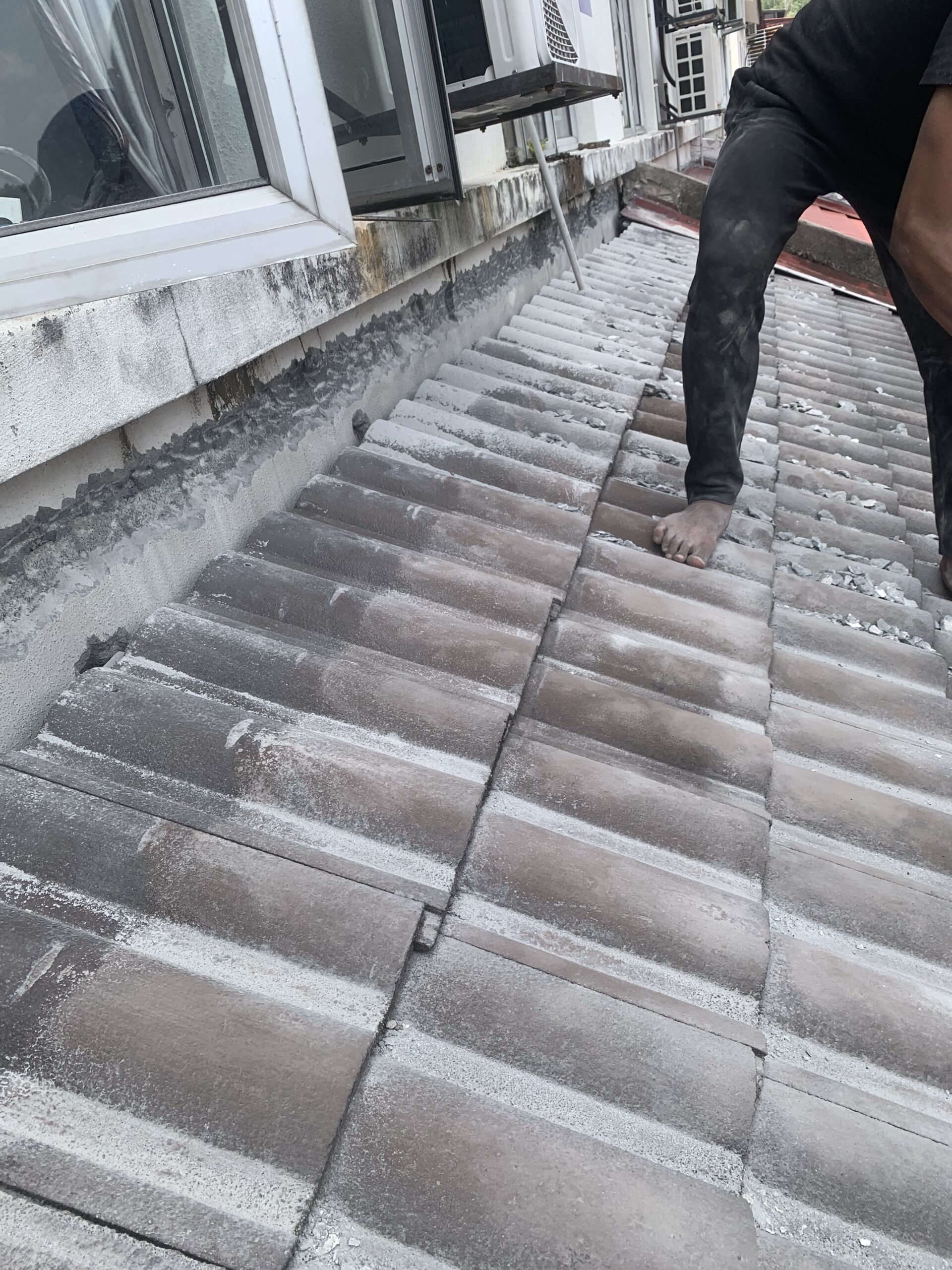 img 9411